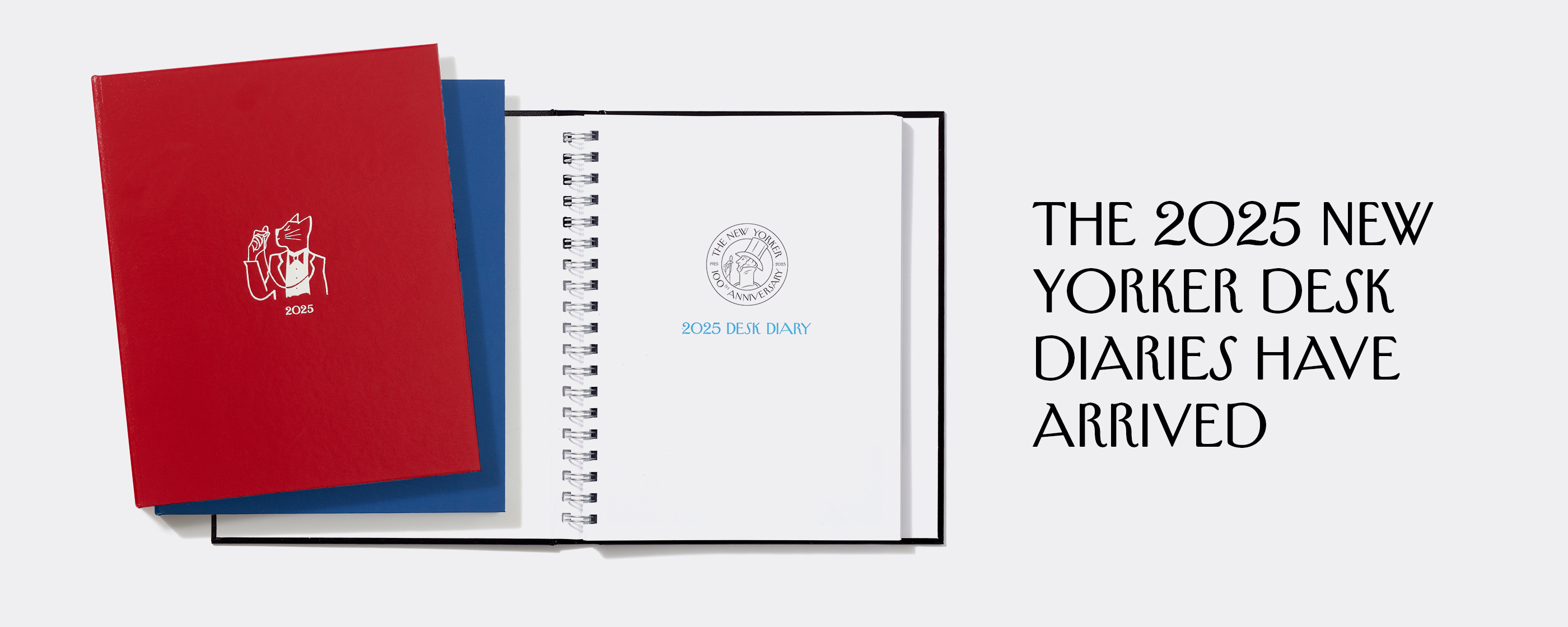 New Yorker Desk Diary / Day Planner 2025